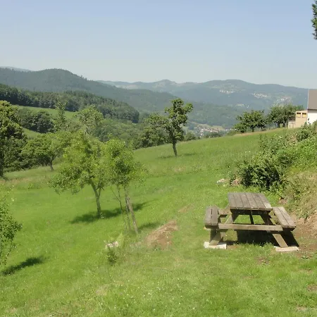 Апартаменты Les Gentianes *