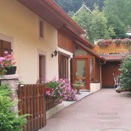 Les Gentianes Apartment