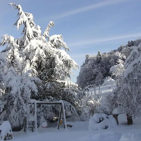 Les Gentianes * Breitenbach-Haut-Rhin