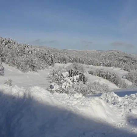 Les Gentianes Breitenbach-Haut-Rhin