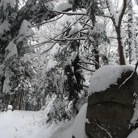 Appartement Les Gentianes