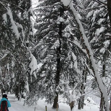 Appartement Les Gentianes