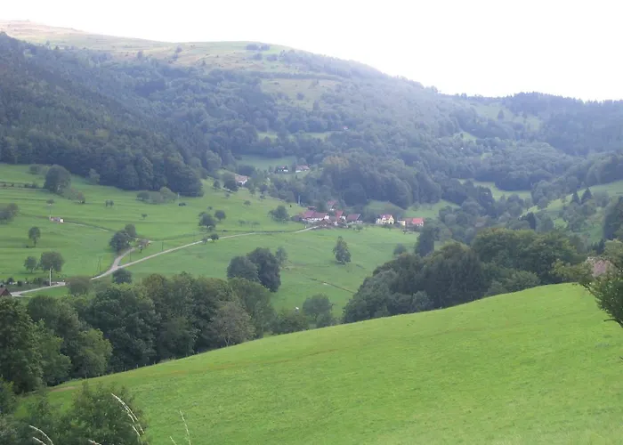 Les Gentianes Appartement Breitenbach-Haut-Rhin